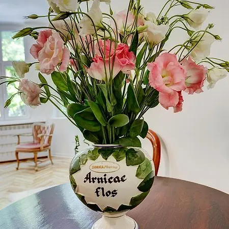 Class Vintage アパート